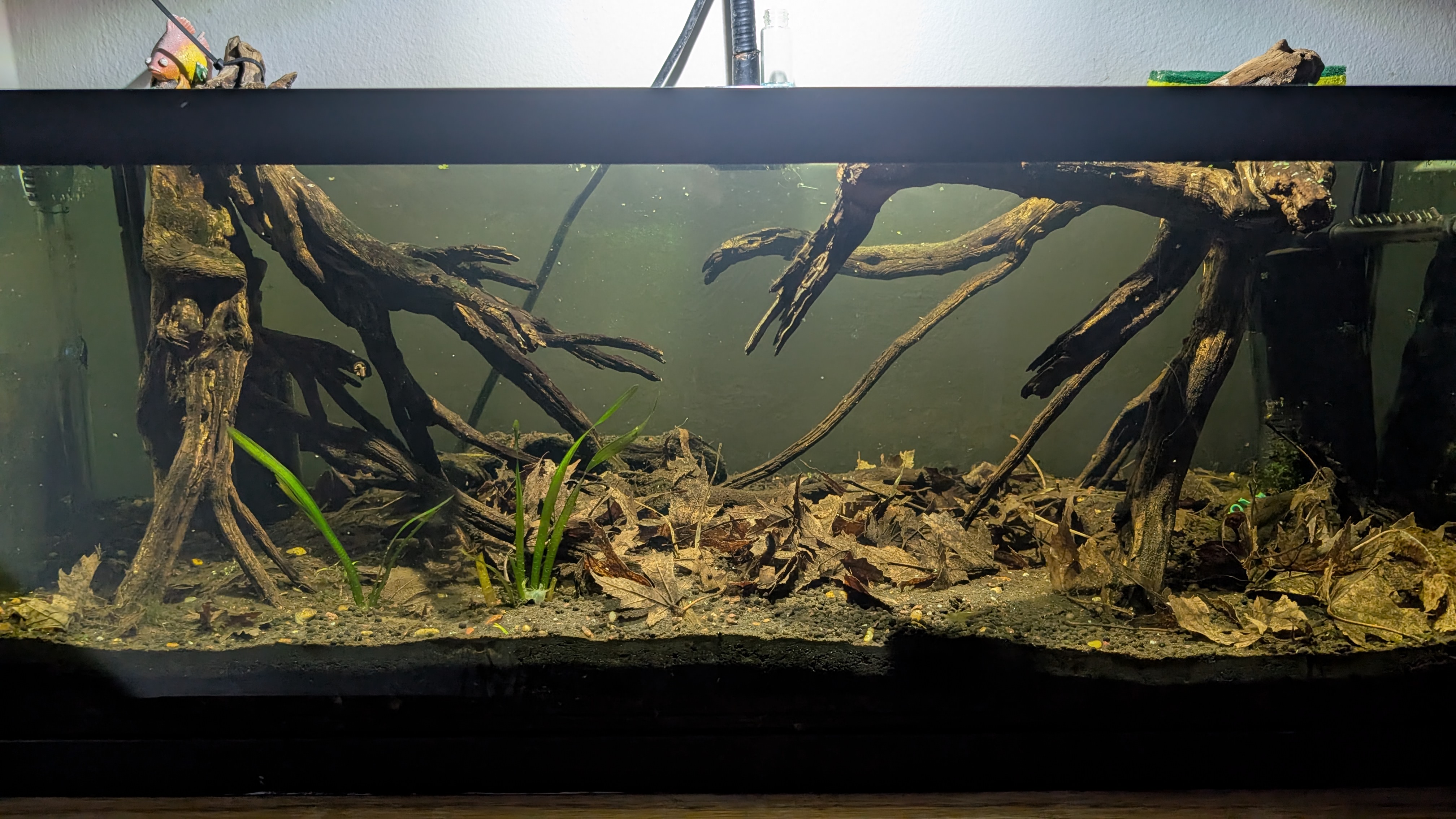 tank