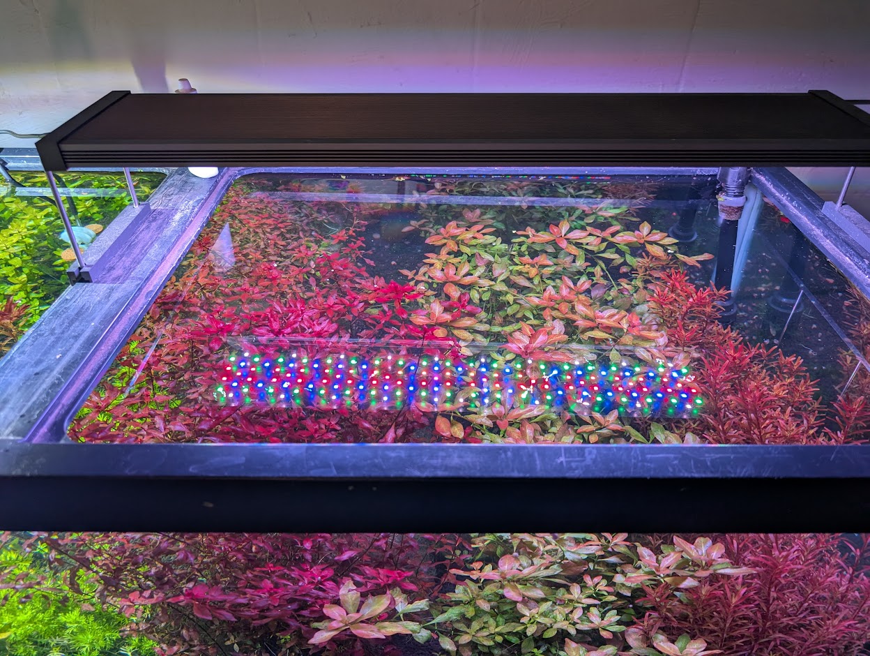 Top-down view of a rimless aquarium illuminated by a rectangular full-spectrum LED light fixture, highlighting dense red and green plant growth at the water&rsquo;s surface.
